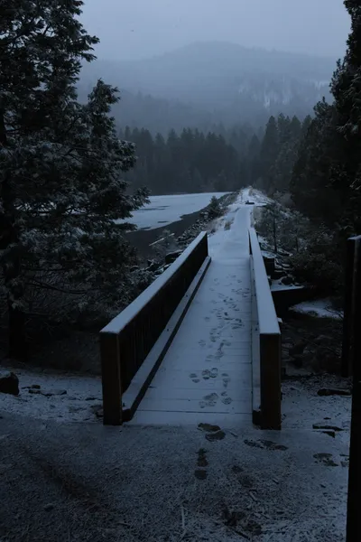 DSC_5842 (Large).JPG